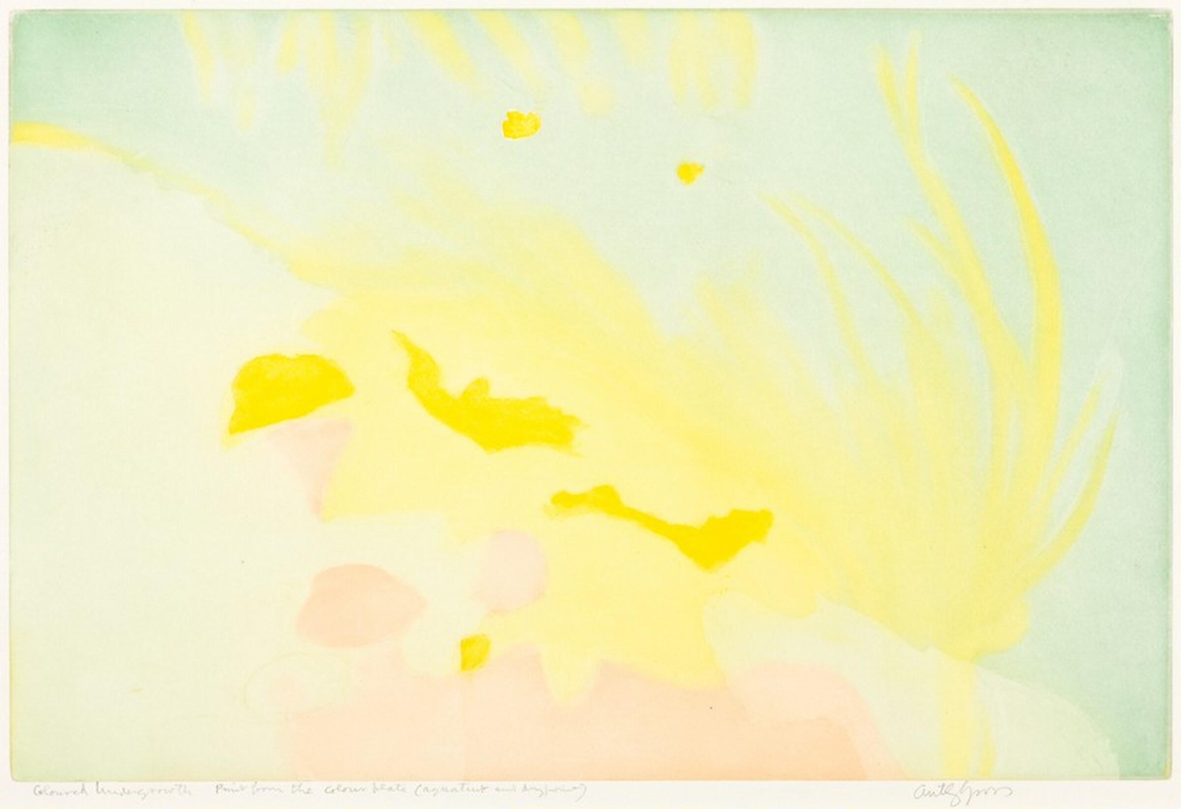 Tangled Undergrowth (Coloured Undergrowth), Anthony Gross, 1954