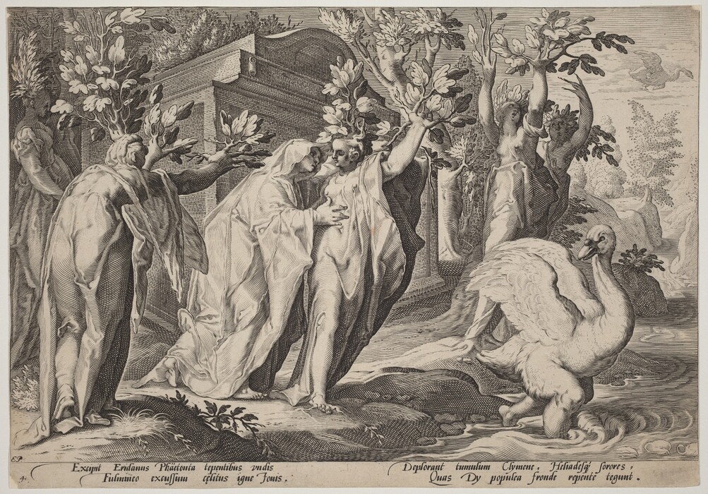 This is a drawing of a mythological scene. The image features several tree-like figures, some with human features and garments. In the center, a figure draped in robes interacts with another figure turning into a tree. The background shows classical architecture with a large closed door adorned with gnarled branches and leaves. To the right, a swan is standing on a riverbank. In the sky above, there is a winged figure. The artwork showcases classic mythological motifs and is drawn with fine lines and detailed cross-hatching.