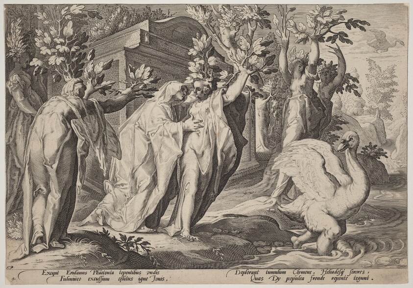 Phaeton's Sisters Changed into Poplars, and Cygnus into a Swan