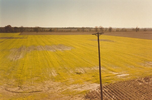 Almost at the Mississippi River, Dyersburg, Tennessee
