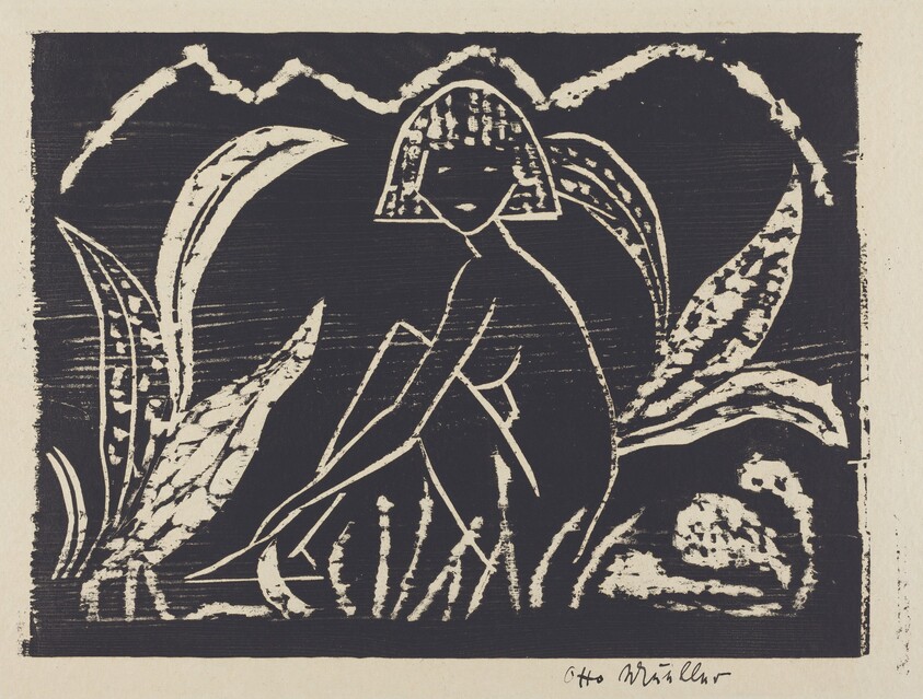 Nude Figure of a Girl in a Landscape (Madchenzwischen Blattpflanzen)