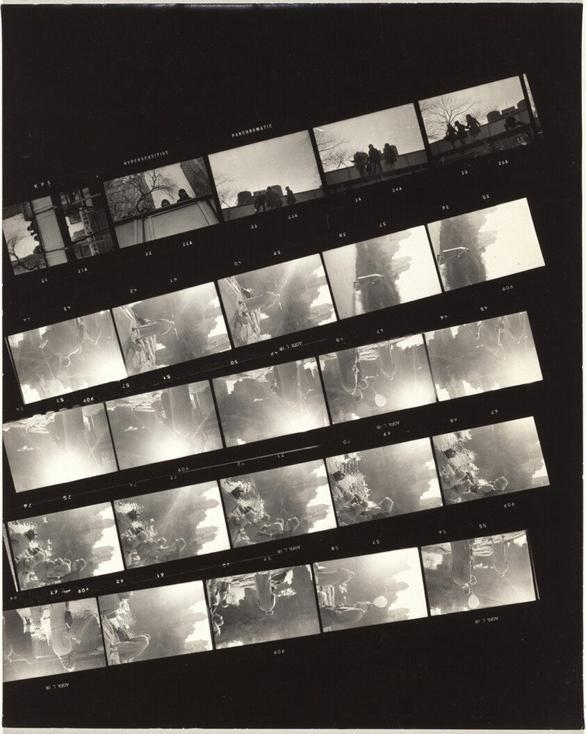 Central Park, New York City no number