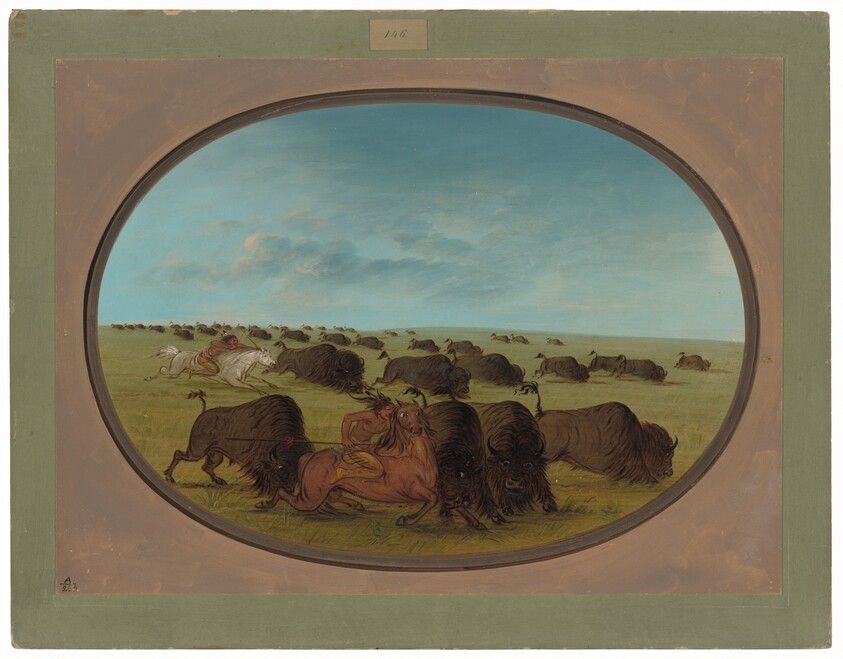 Buffalo Chase, with Accidents