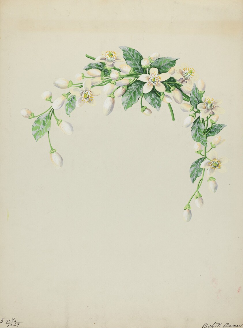 Costume Accessory (Orange Blossoms)