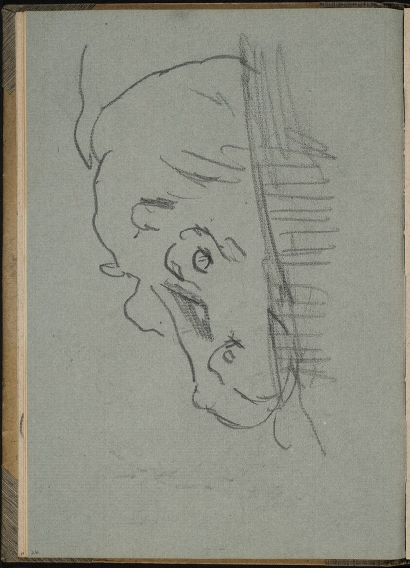 Nilpferd, halb unter Wasser (Hippo Partially Submerged) [p. 26]