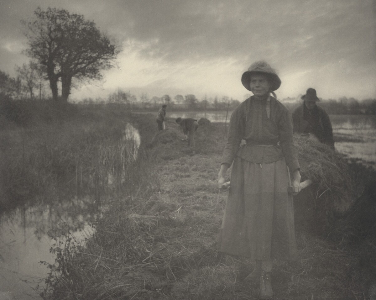 Poling the Marsh Hay