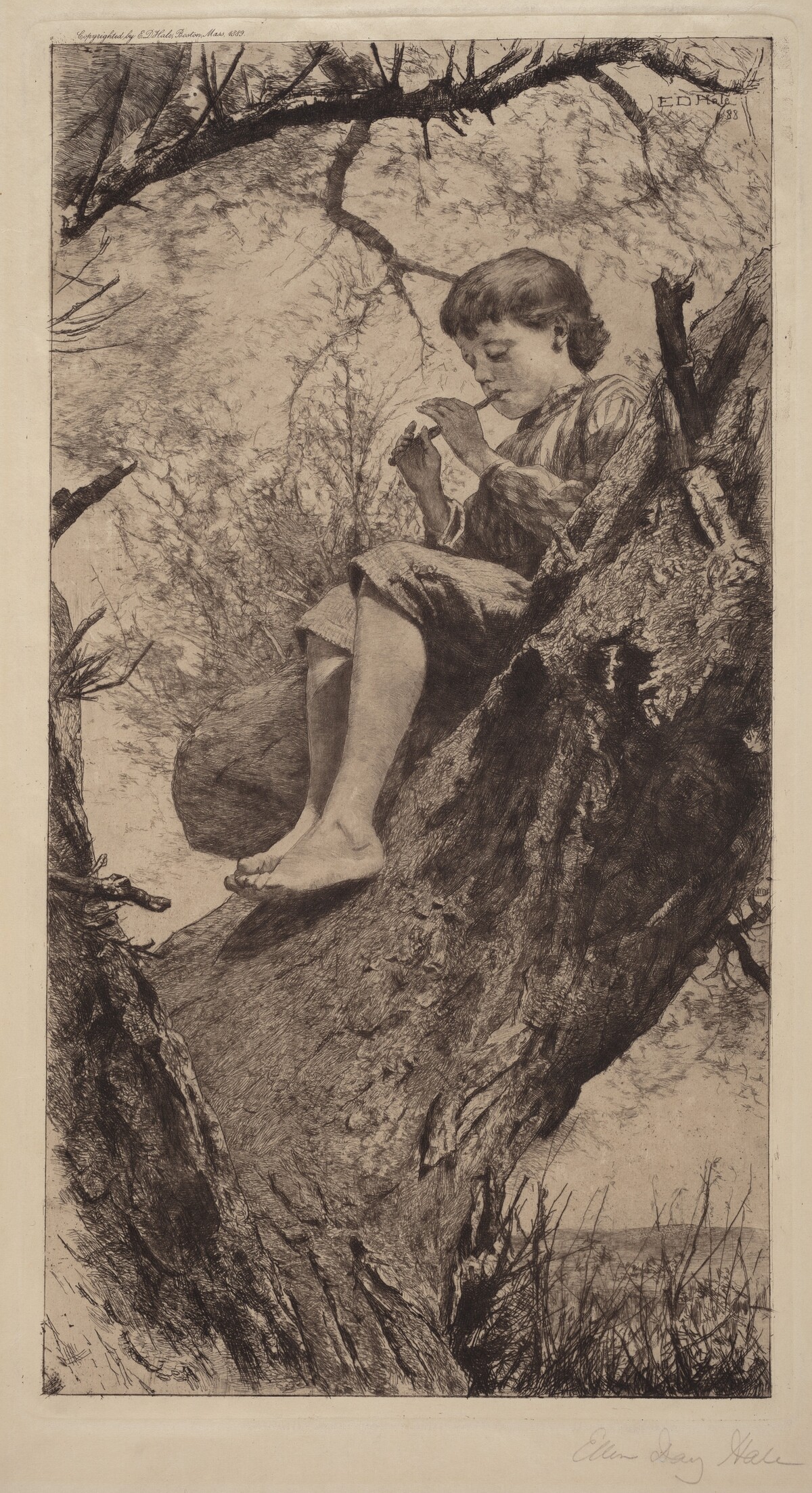 The Willow Whistle