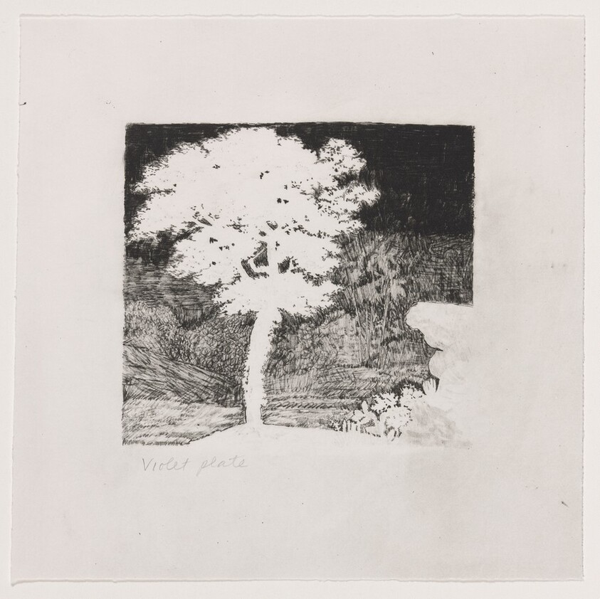 Untitled (#2) [working proof 1b]