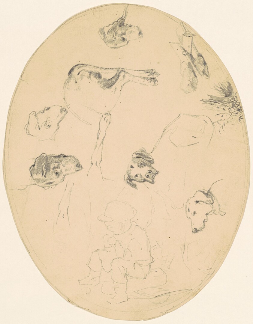 Studies of Dogs and a Seated Boy [recto]