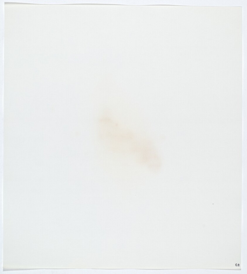 Stains: Dairy Butter