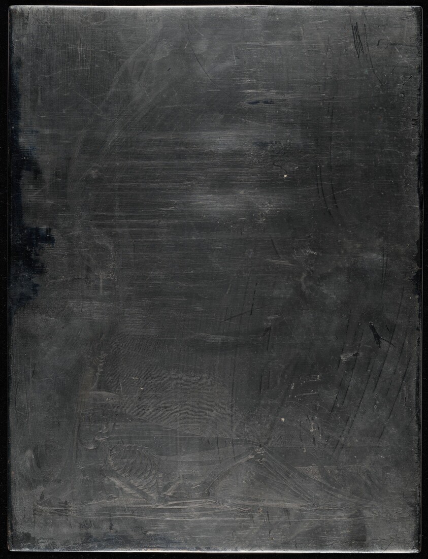 The Skeleton Re-animated