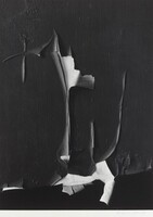 Peeled Paint, Rochester, New York, Minor White, 1959