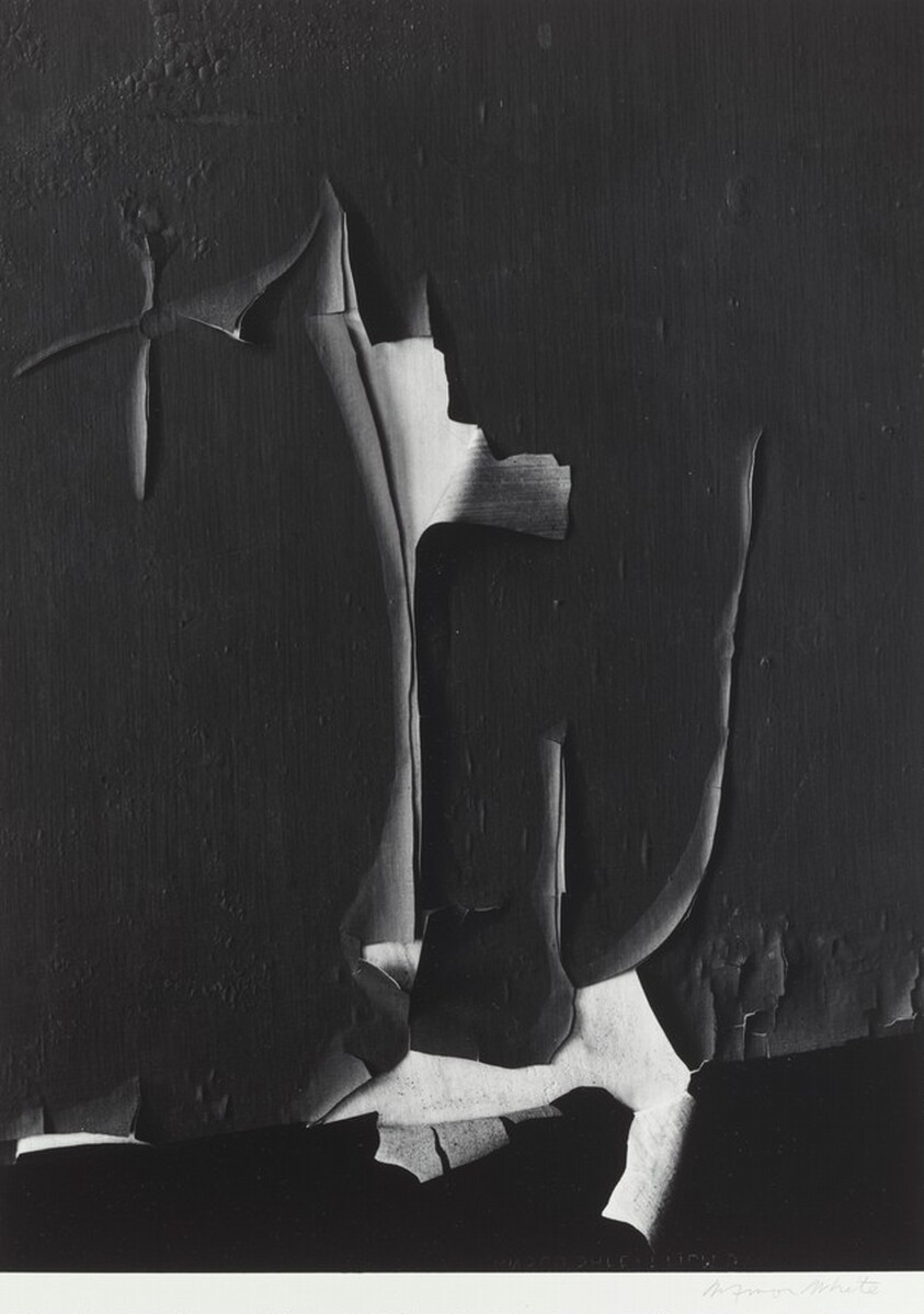 Peeled Paint, Rochester, New York