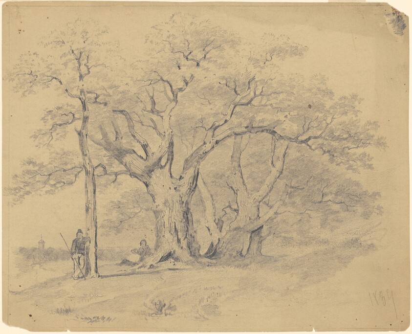 By the Old Oak Trees