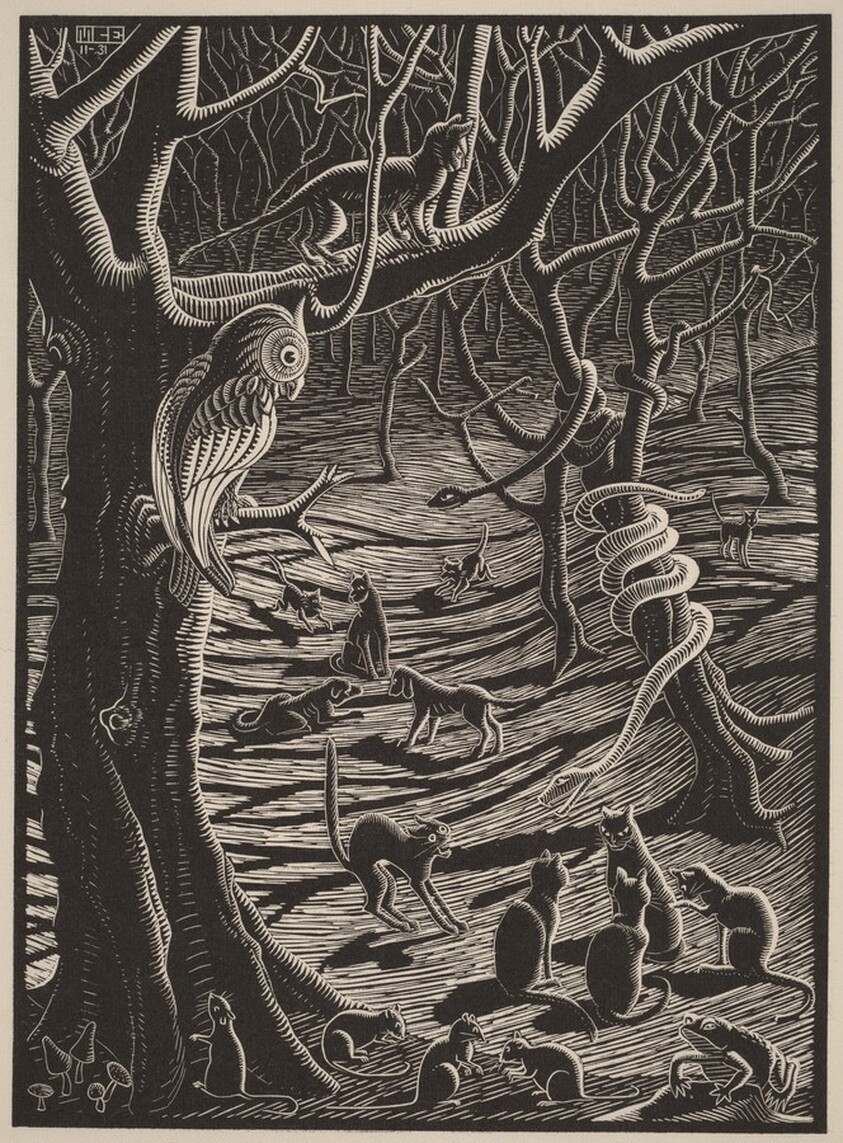 Illustration for "The Terrible Adventures of Scholastica"