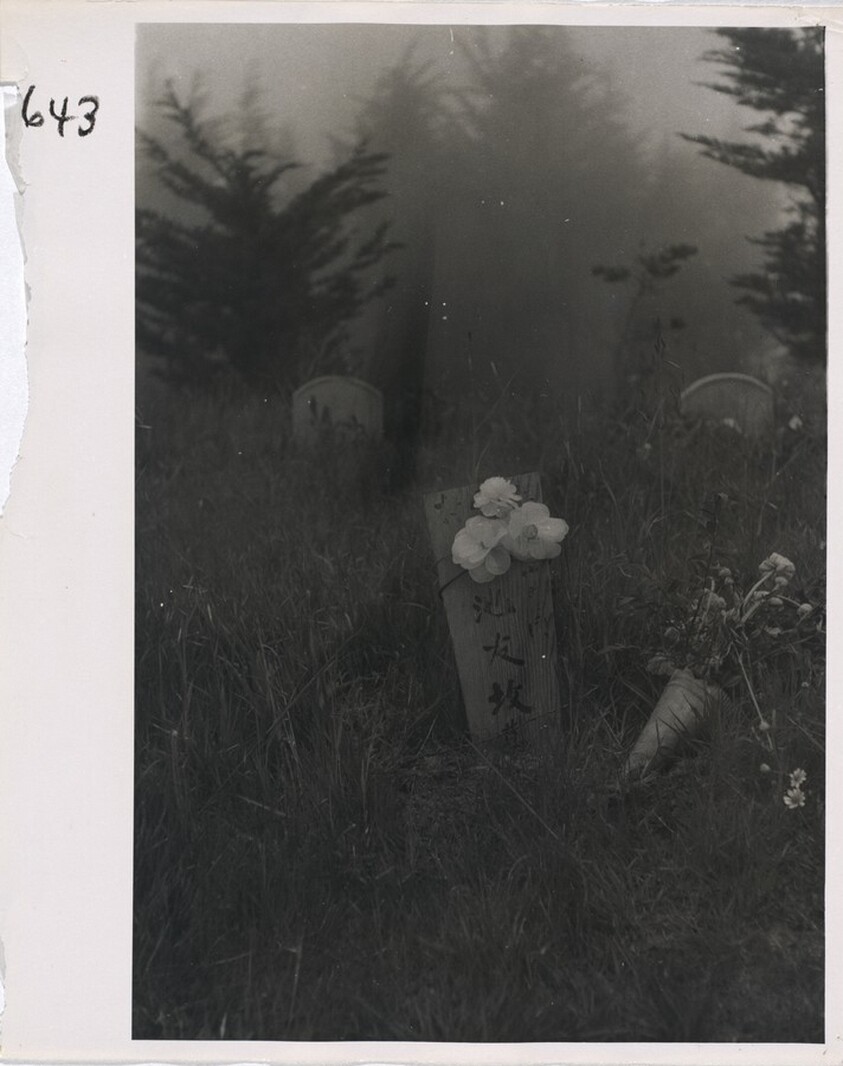 Cemetery--San Francisco