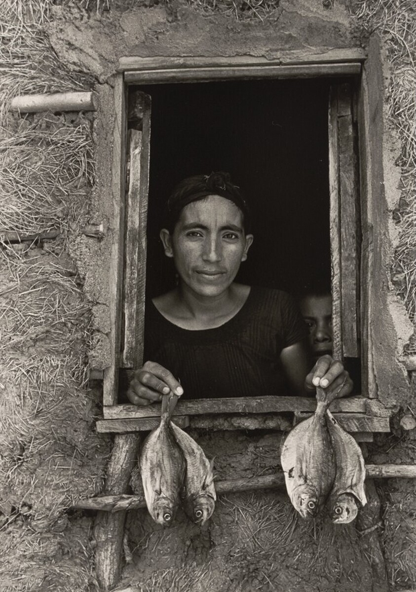 Cuatro pescaditos, Juchitán, México (Four Little Fish, Juchitán, Mexico)