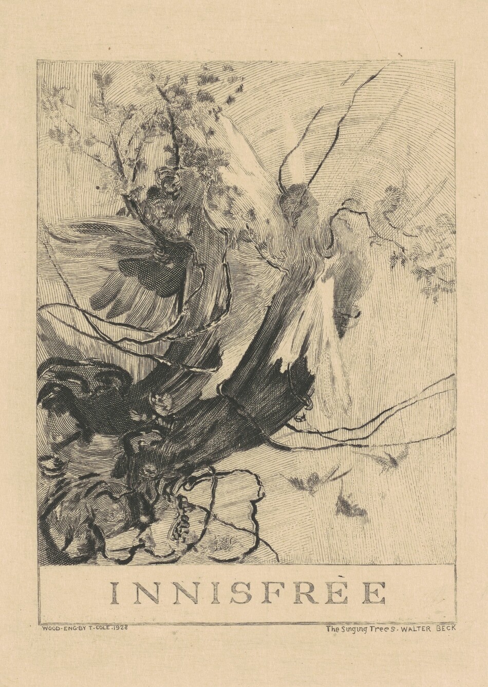 The image depicts a detailed close-up of a tree. The focus is on the branches and leaves, highlighted by intricate line work and shading. The horizon is not visible. The tree fills the frame, with fine brushstrokes and cross-hatching capturing its texture and form. The monochromatic color palette of black and grey creates contrast and emphasizes the lines. The composition includes a border and the word "INNISFREE" at the bottom.
