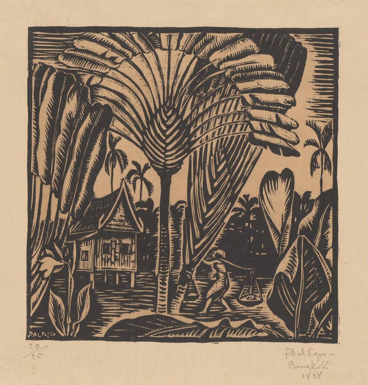 Jungle Clearing with Spreading Palms