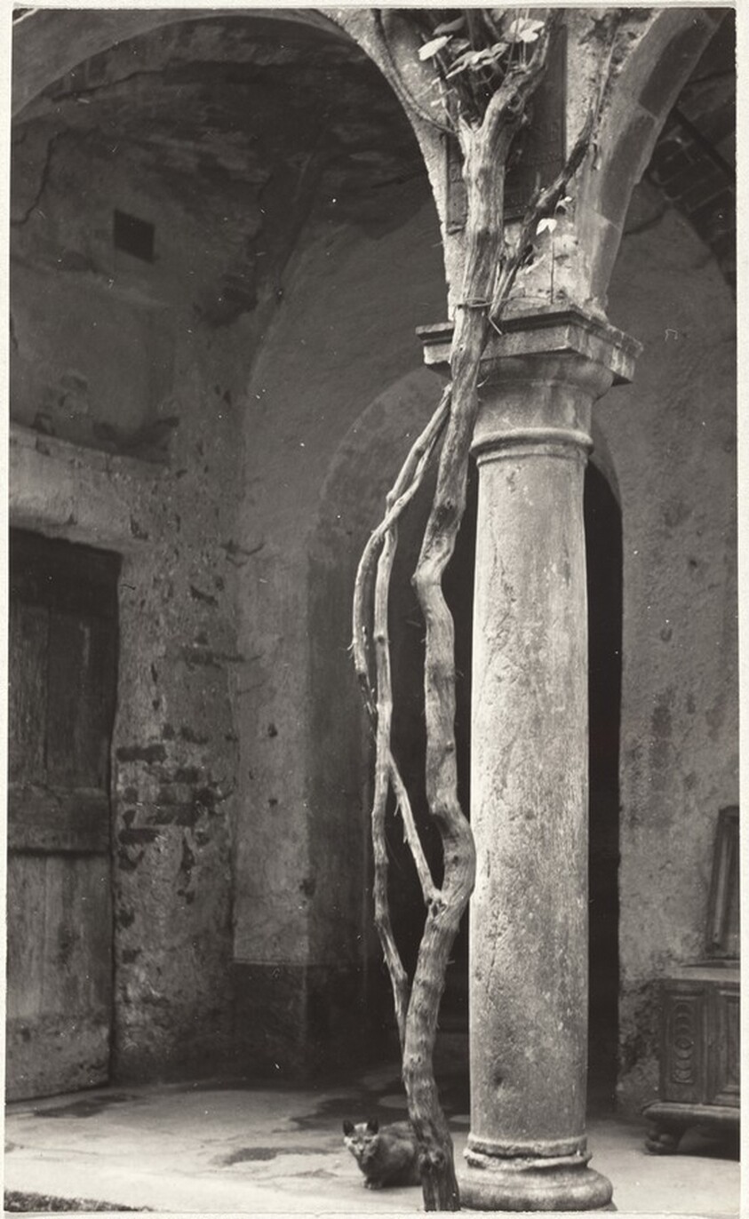 Column--Architecture