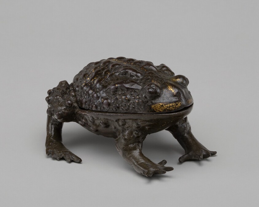 A Large Toad