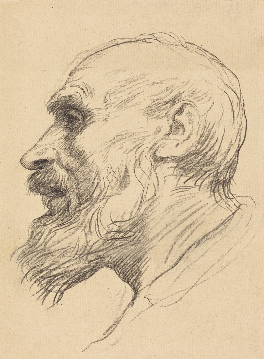 Head of an Old Man