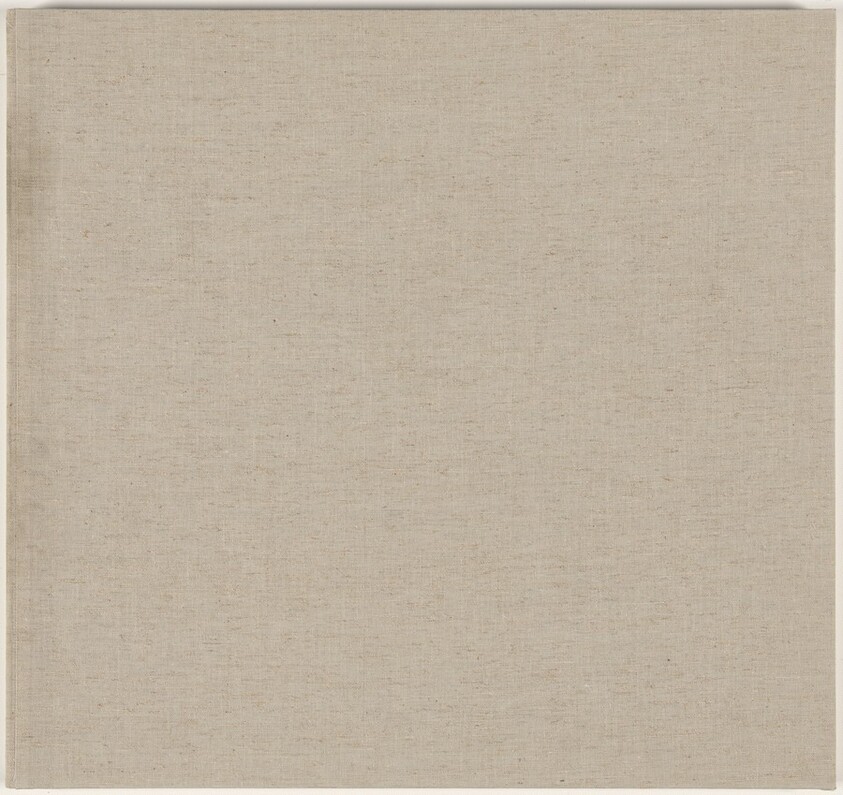 Day and Night: Homage to the Square