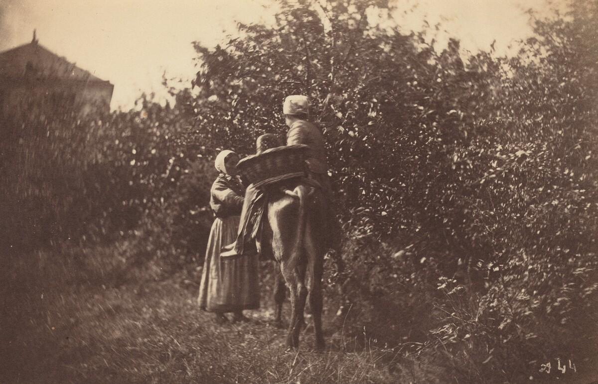 Two Women with Donkey