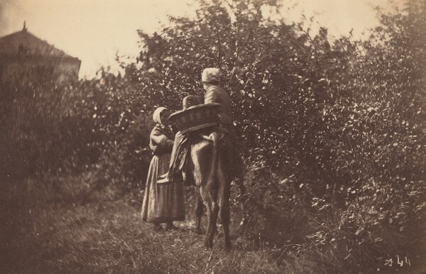 Two Women with Donkey