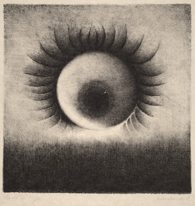 The image shows a large circular shape at the center surrounded by radiating semicircular lines creating an abstract design. The central circle resembles an eye, with concentric circles mimicking an iris and pupil, while the surrounding radiating lines suggest eyelashes fanned outwards. The composition is in grayscale, giving it a monochromatic appearance with gradations of shading mimicking roundness and textures typically seen in an eye.