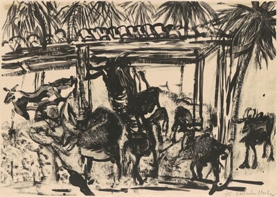 Goats in Shed