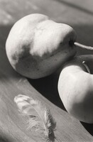 Manzanita, Oregon, Robert Adams, 2004