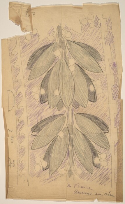 This is a drawing of a floral design with leaves and berries. The composition features a central branch extending vertically with clusters of elongated leaves and round berries. The background is filled with a pattern that includes purple shading and a pencil-sketched border with a wavy line design. The paper has visible creases, and some handwritten notes are present on the margins of the sheet. The color palette is soft, relying heavily on graphite with a touch of subtle purple to fill in the spaces between the elements.