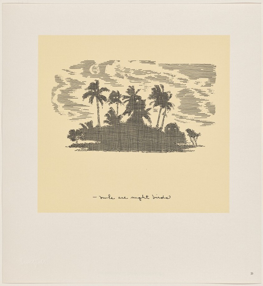 Owl Feathers: page 25