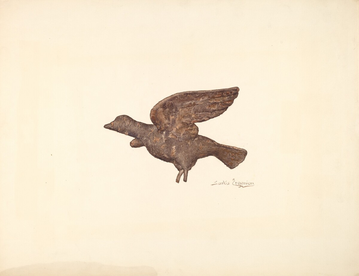 Dove
