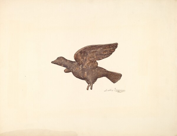 Dove