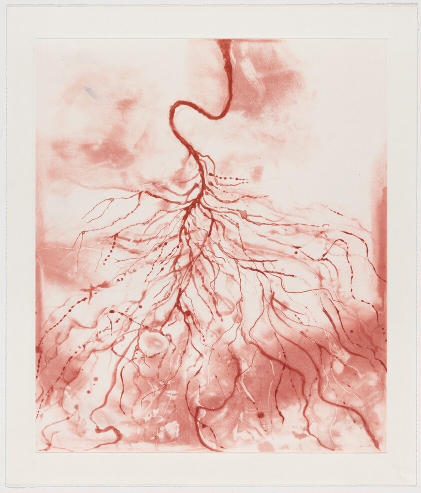 Racine [working proof 6]