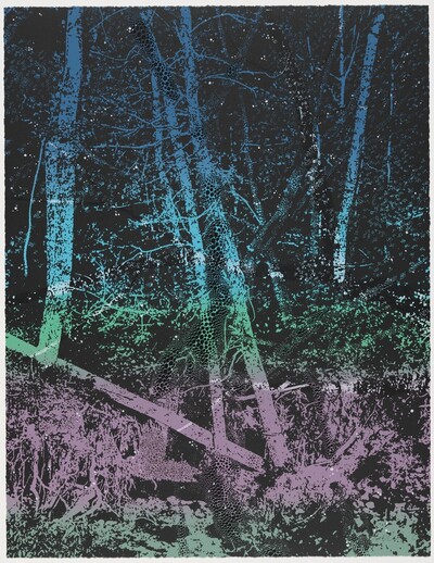 The Sunken Forest from Three Guilty Landscapes