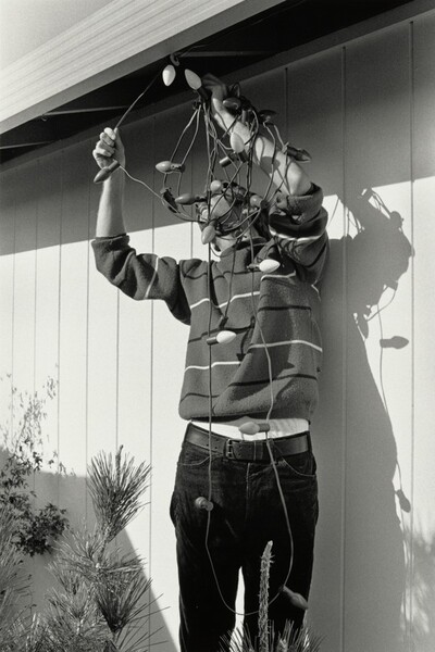 Stringing Lights, San Jose, California