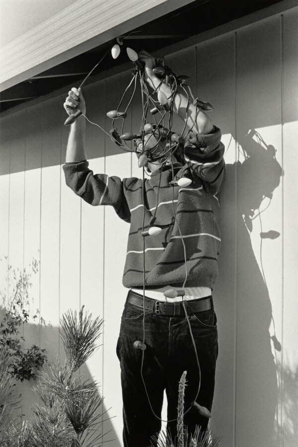 Stringing Lights, San Jose, California