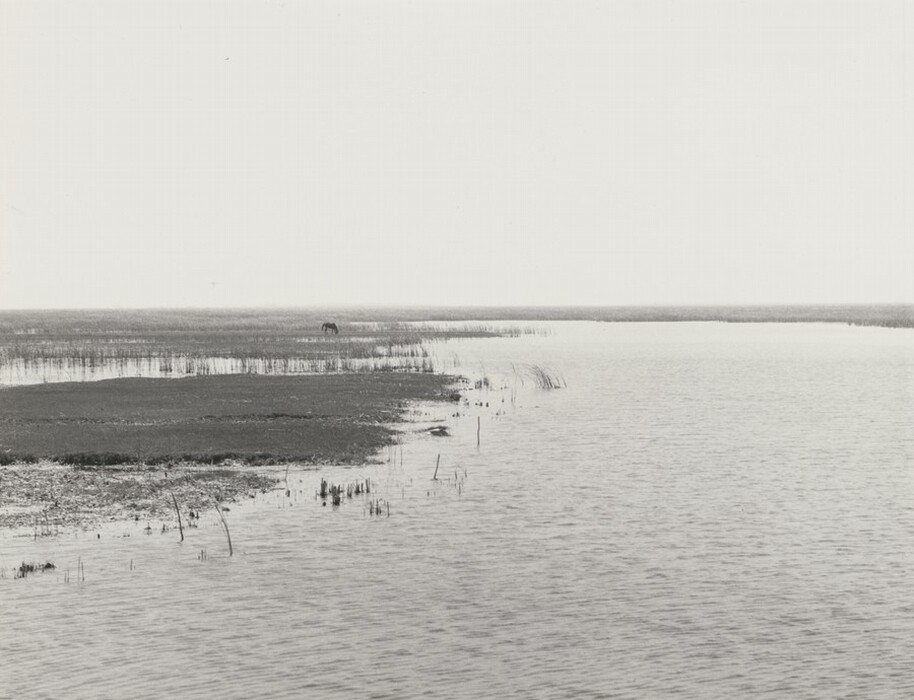 The image shows a wide, aerial view of a waterscape with a horizon dividing the frame. The water appears calm and some vegetation is visible on the thin line that marks the horizon. The image is in black and white, creating a serene and subtle monochromatic palette. The water shows gentle ripples and there are sparse reeds or grasses poking through the surface. In the distance, there is a lone figure, possibly an animal, against the skyline. The scene conveys a sense of stillness and simplicity in both composition and tone.