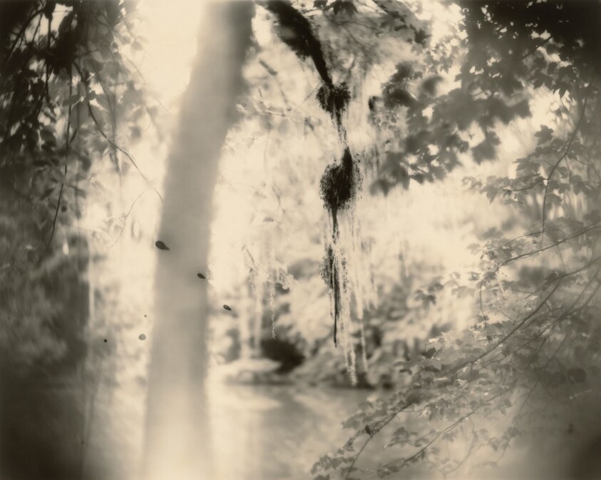 Deep South, Untitled (Three Drips)