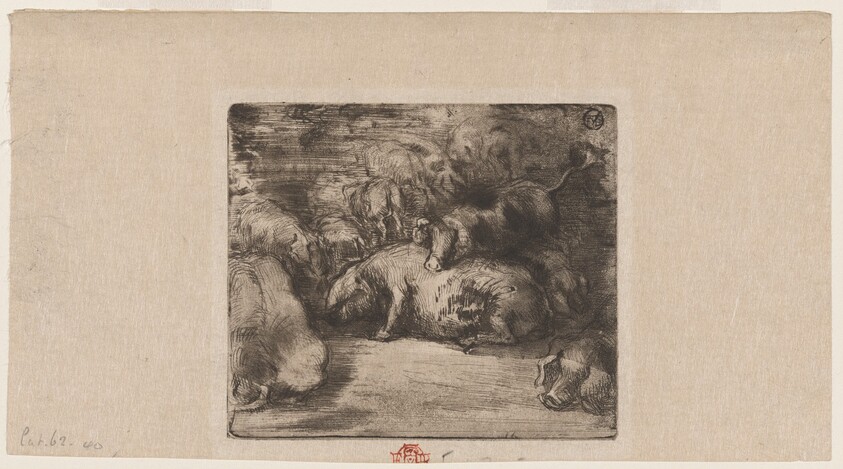 Cochons au soleil (Pigs in the Sun)