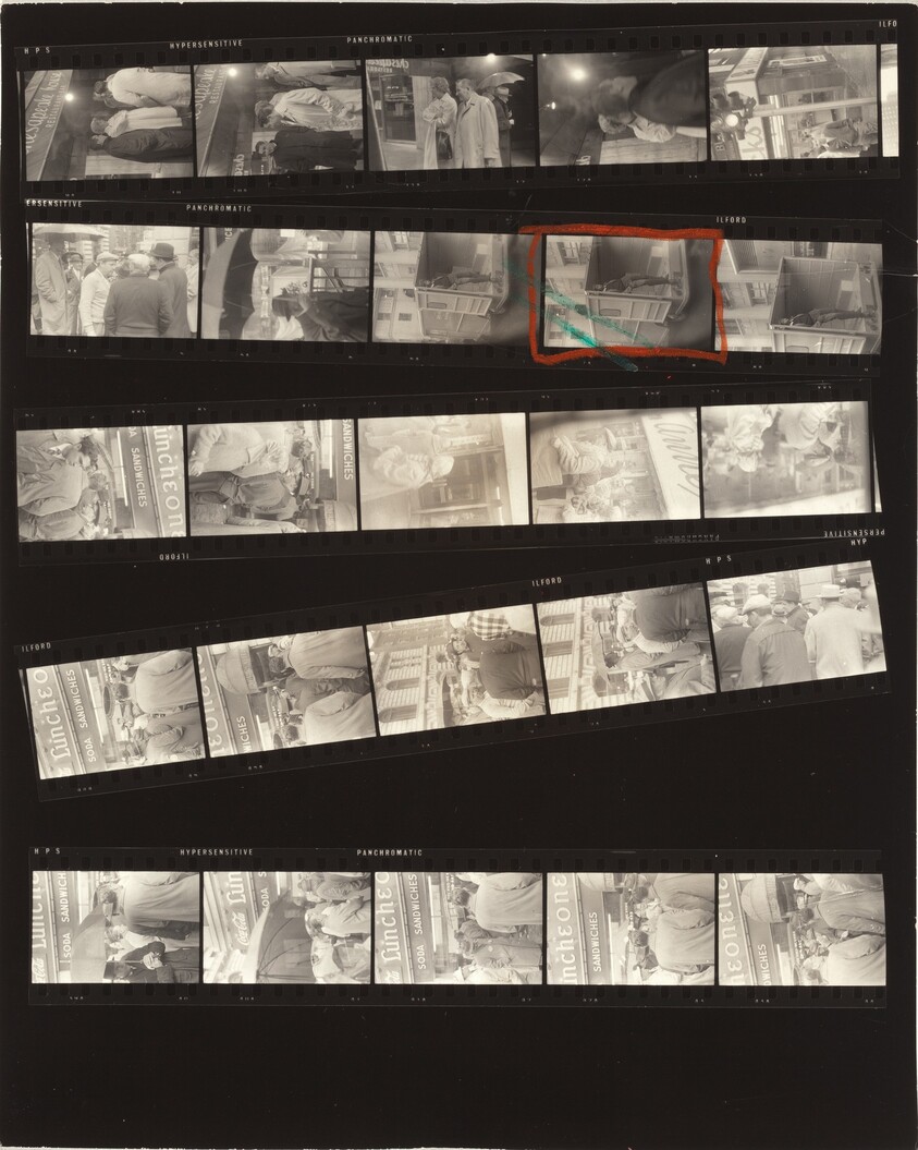 From the bus 54/Lines of My Hand 81