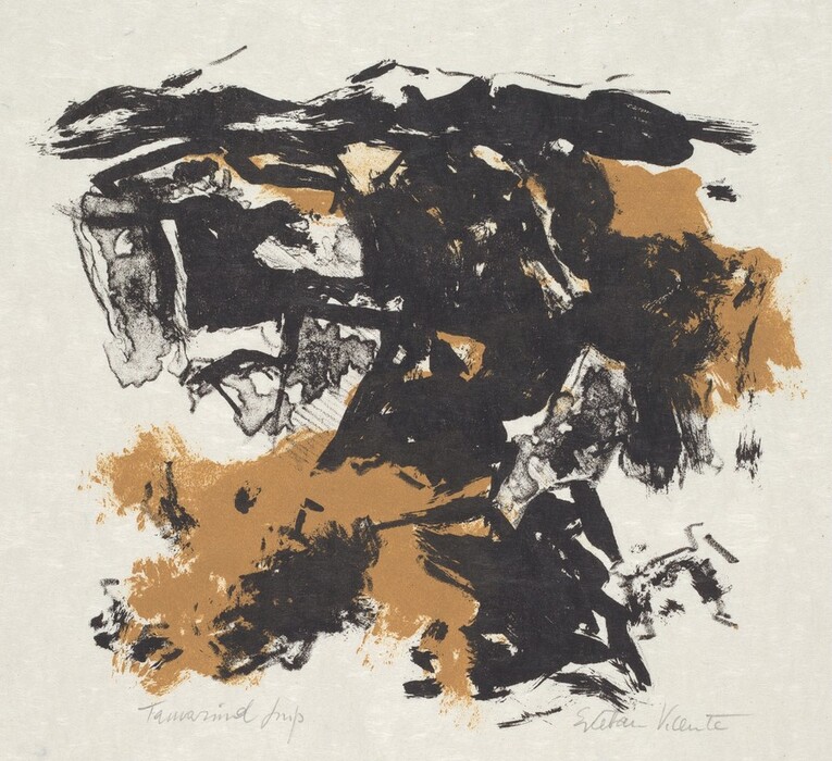 The image features irregular black shapes and lines intersecting with patches of earthy brown. The abstract composition can be interpreted as a landscape or mountain range, resembling jagged rocks or cliffs. The shapes encourage viewers to find familiar patterns within the layout.
