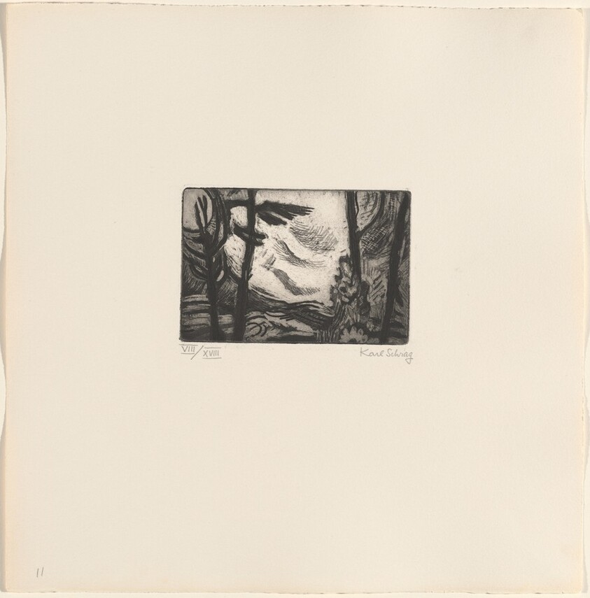 White Cloud behind Trees from By the Sea