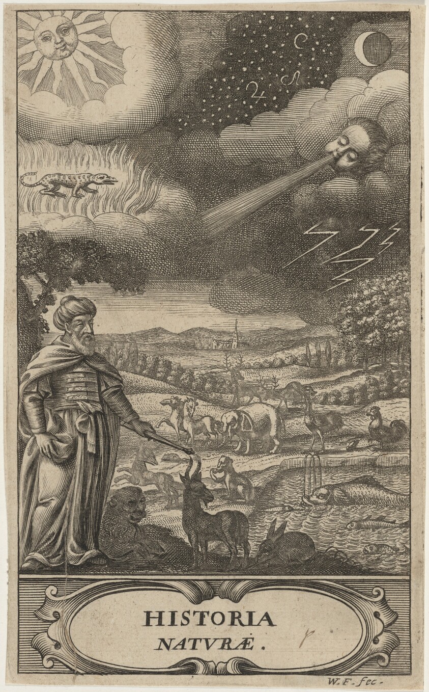 The Creation of Animals