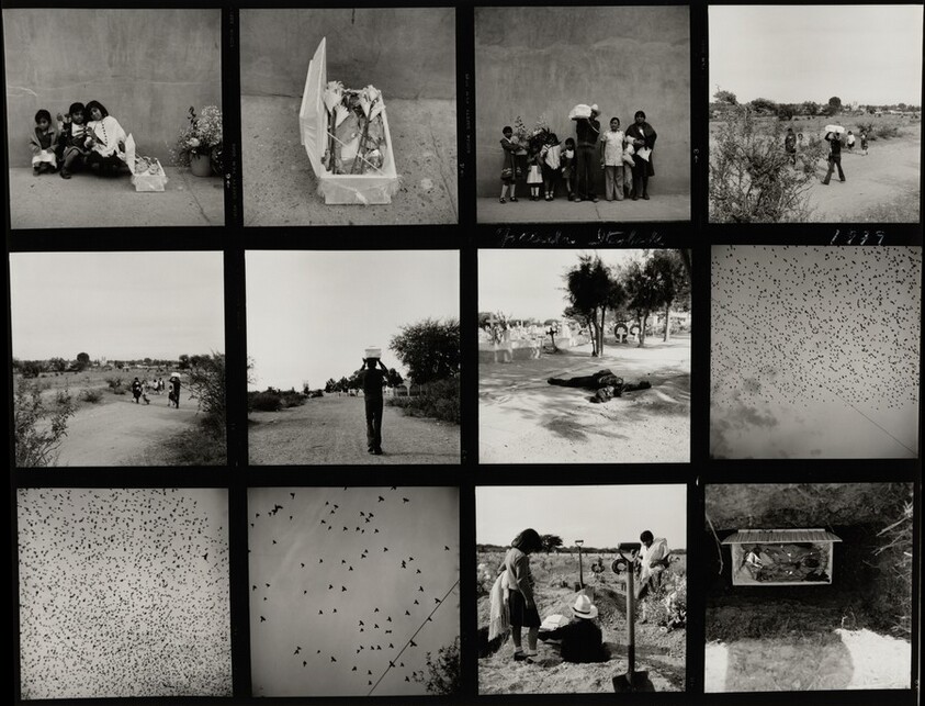 Dolores Hidalgo, México