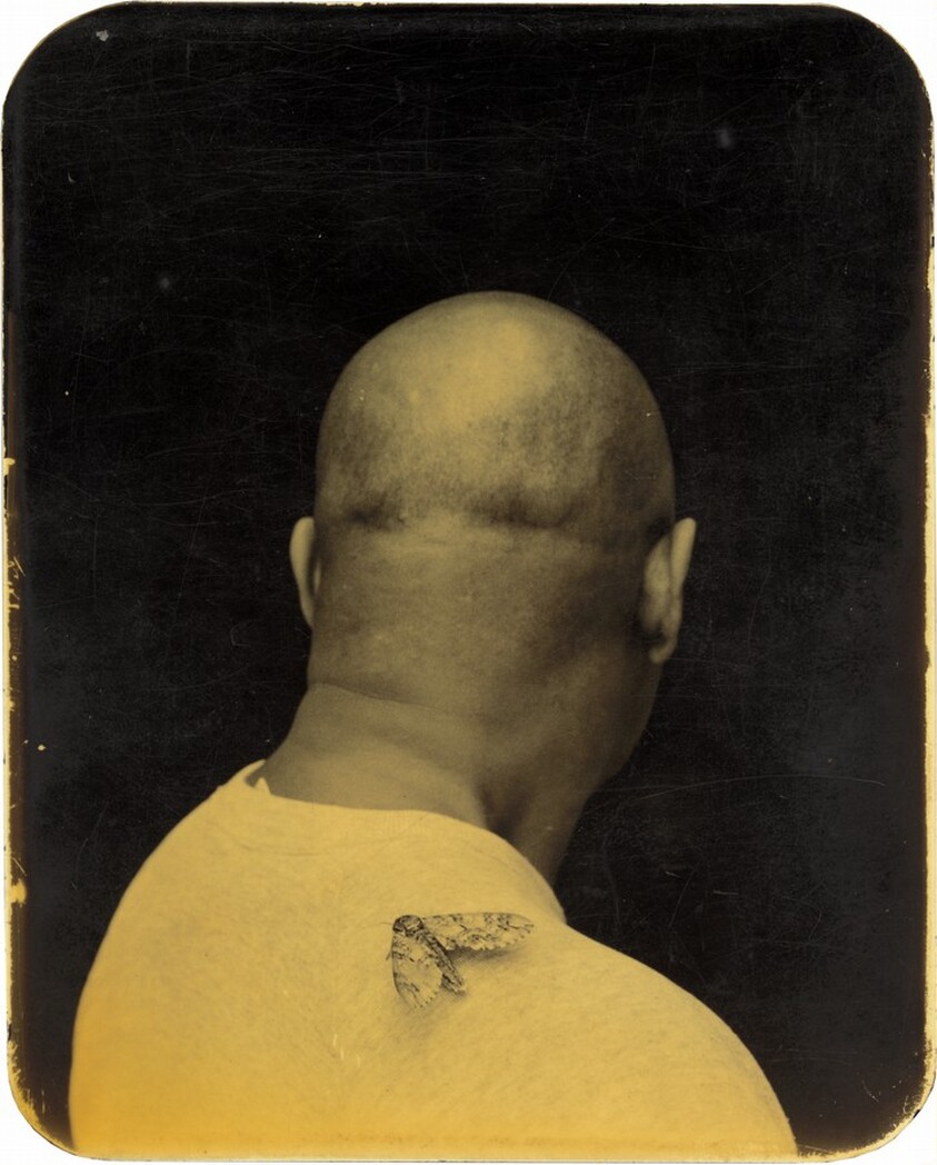 "Count," Angola, Louisiana