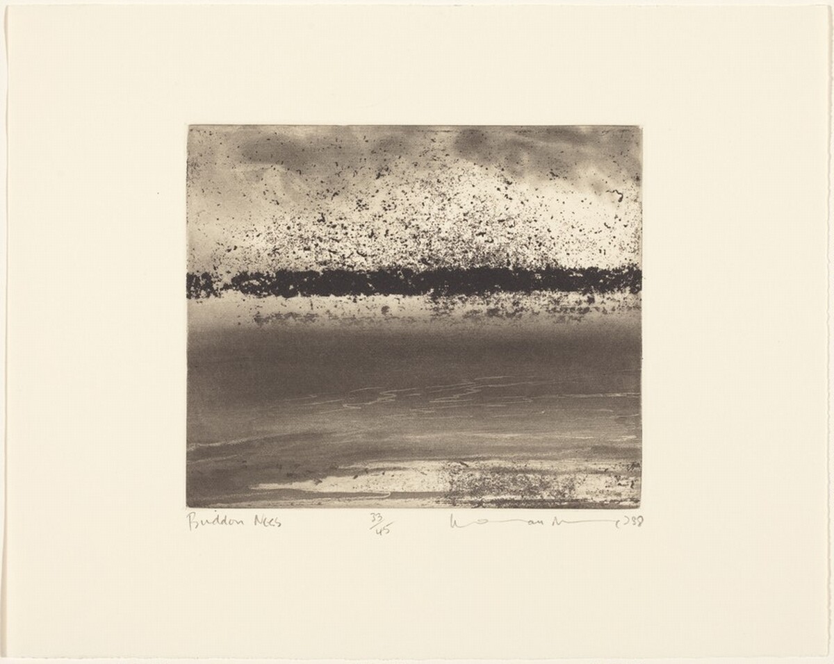 Buddon Ness